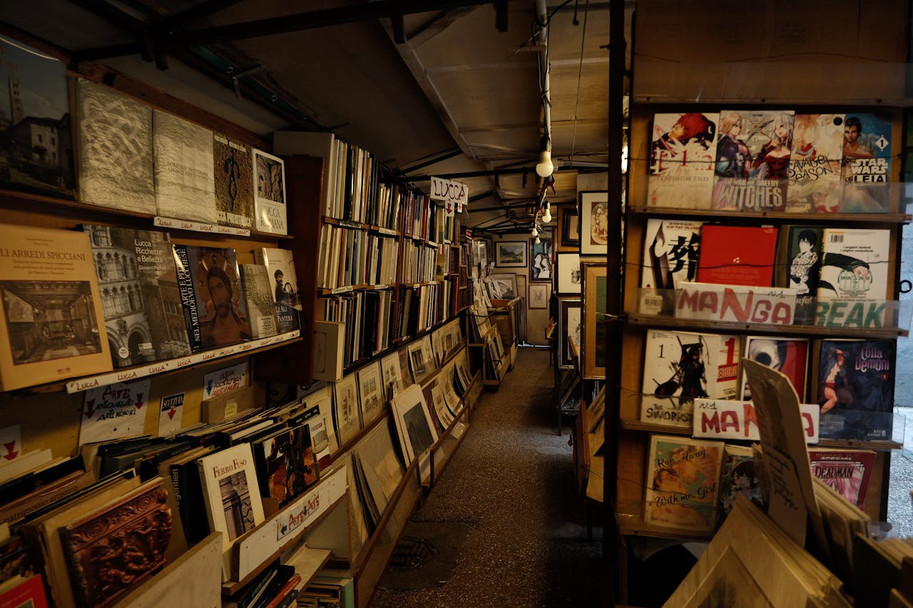 Explore a cozy bookstore filled with art and manga collections in Lucca, Tuscany.